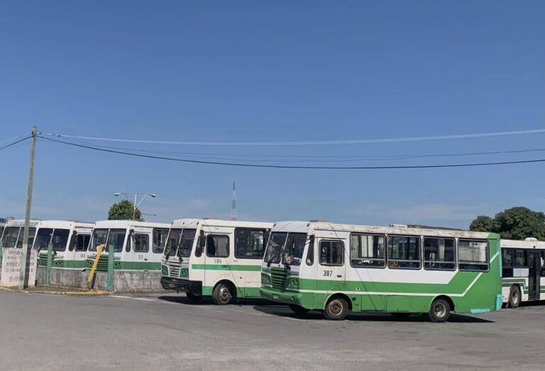 Parque vehicular Transporte