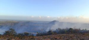 Fuerzas combinadas del Cuerpo de Guardabosques de Pinar del Río y de las empresas forestales y la Agricultura lograron controlar cuatro de los siete incendios forestales.