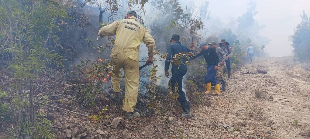 Guardabosques en jornadas intensas para controlar incendio forestal.