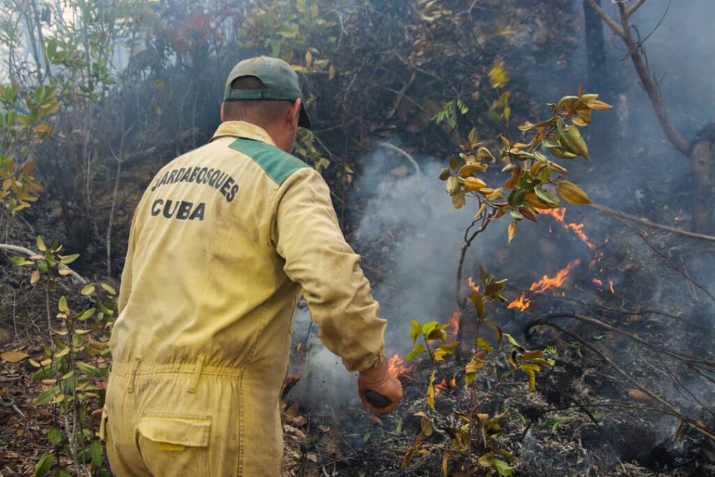 Intervienen en las labores de enfrentamiento más de 500 efectivos del cuerpo de guardabosques de la provincia.