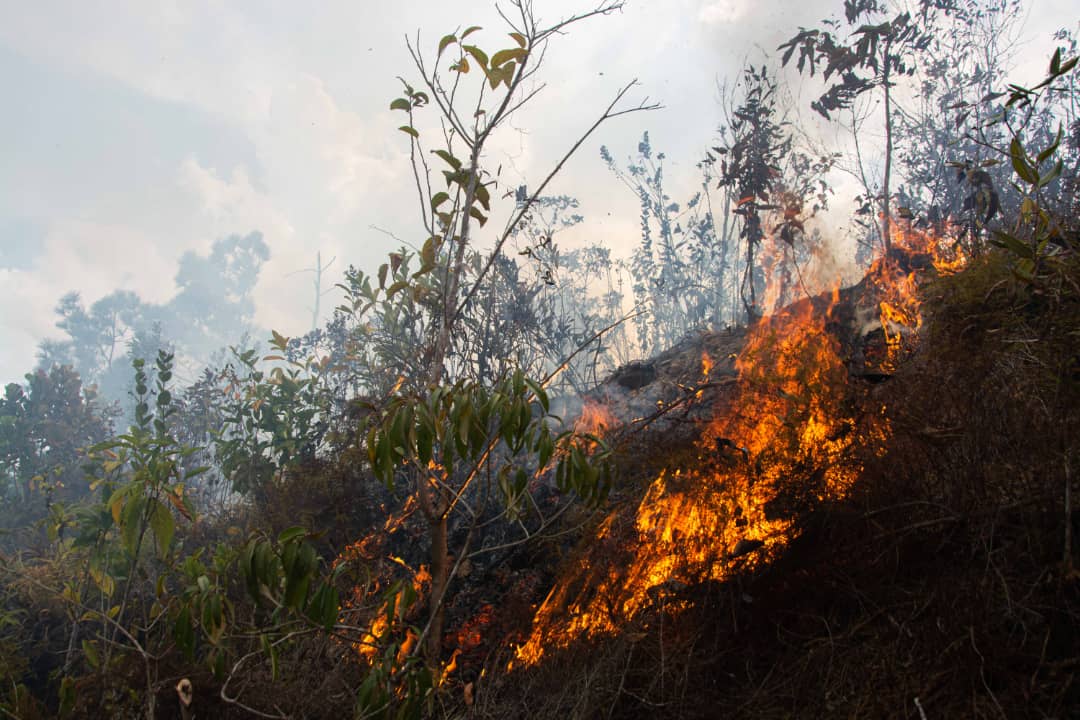 Incendios forestales en Pinar del Río.