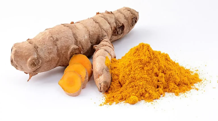 ¿Conoce los beneficios medicinales de la cúrcuma longa?
