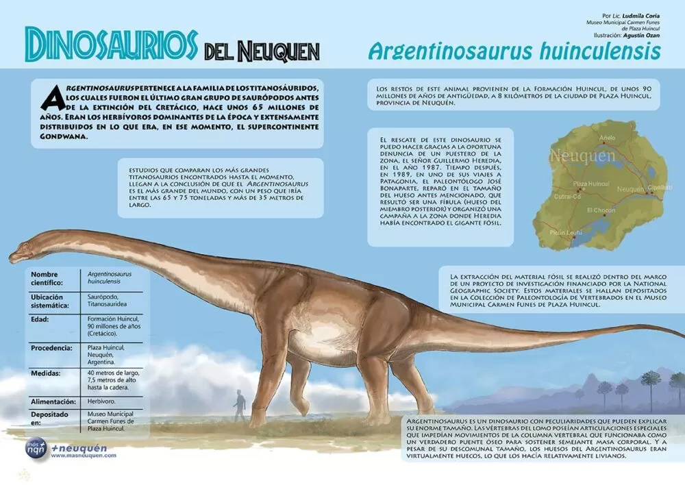 Aportes latinoamericanos a la ciencia. Argentinosaurus huinculensis.