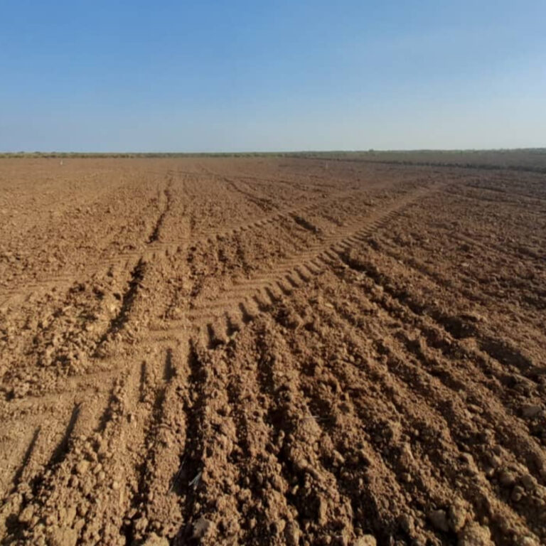 Aseguran nivelación de los suelos en campos del programa arrocero en Pinar del Río