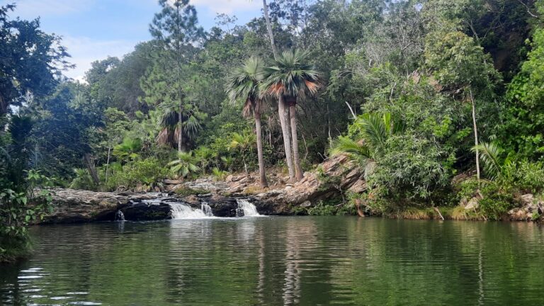 Naciones Unidas advierte sobre crisis global de biodiversidad y llama a acción urgente