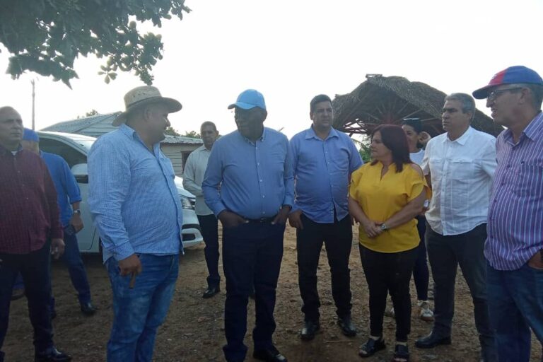 Recorre vicepresidente cubano áreas agrícolas de Consolación del Sur