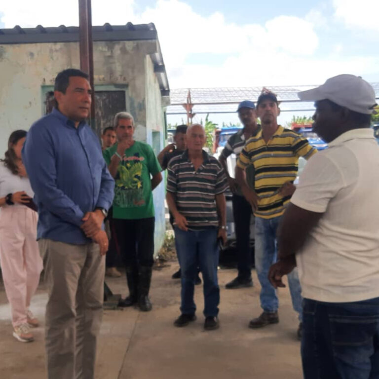 Evalúa Ministro de Transporte situación del sector en Pinar del Río