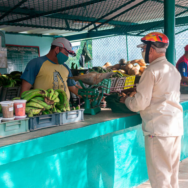 ¿Qué productos comercializarán en la próxima feria agropecuaria de la ciudad pinareña?