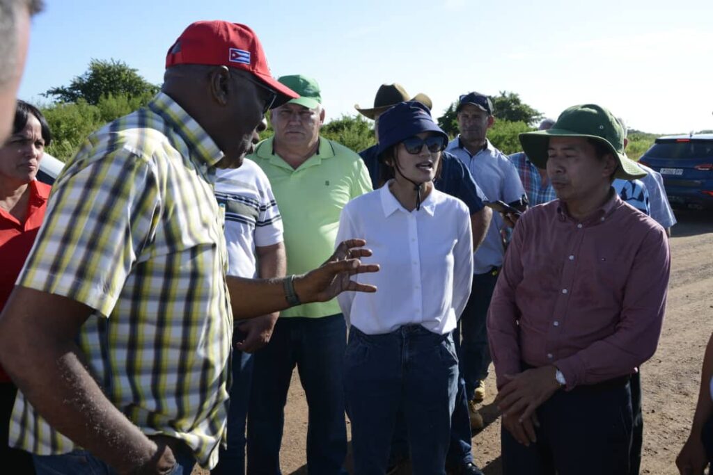 Vicepresidente cubano supervisa avances del Programa Conjunto Vietnam-Cuba de producción arrocera.