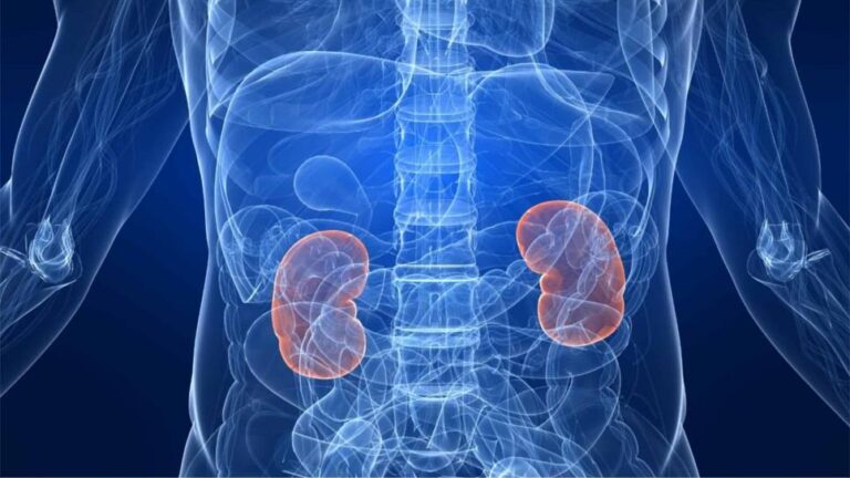 Hacia una vida sana: todo lo que debe saber sobre la enfermedad renal crónica