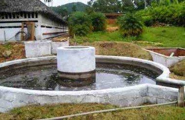 Los Palacios trabaja por recuperar su liderazgo en biodigestores