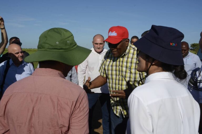 Vicepresidente cubano supervisa avances del Programa Conjunto Vietnam-Cuba de producción arrocera.