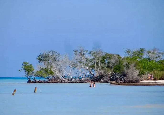 Proyecto “Evaluación integral con enfoque ecosistémico de la diversidad biológica y los impactos asociados a los servicios turísticos en Cayo Jutías”.