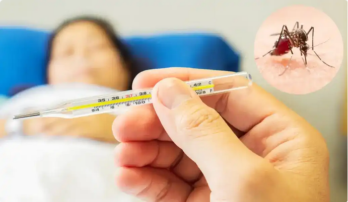 El dengue: una amenaza cercana que podemos evitar juntos.