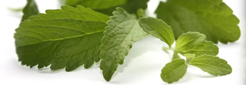 Los sorprendentes beneficios de la Stevia: un valioso recurso terapéutico y dietético.