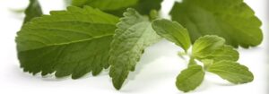 Los sorprendentes beneficios de la Stevia: un valioso recurso terapéutico y dietético.