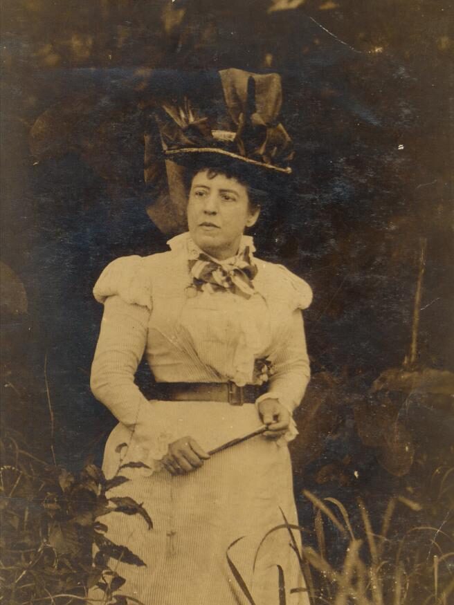 Mujeres, guerras de independencia y plantas medicinales.
