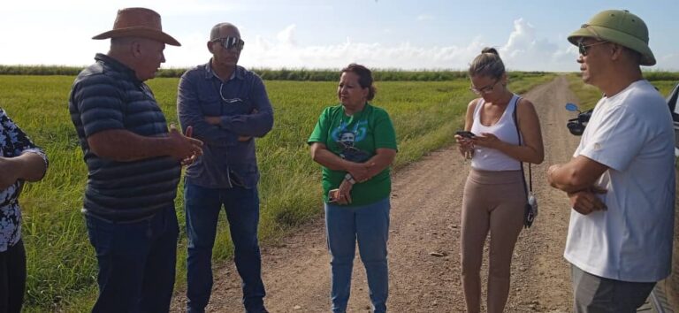 Secretaria General de la FMC impulsa rol de la mujer en la agricultura pinareña