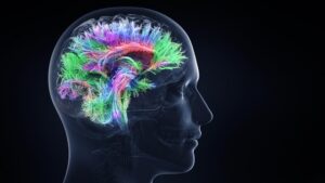 Mantener viva la llama: estimulación cognitiva y de la memoria.