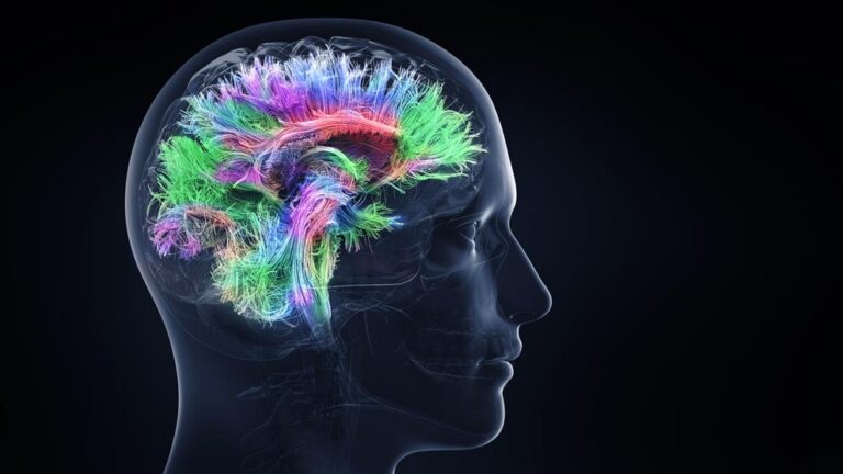 Mantener viva la llama: estimulación cognitiva y de la memoria.