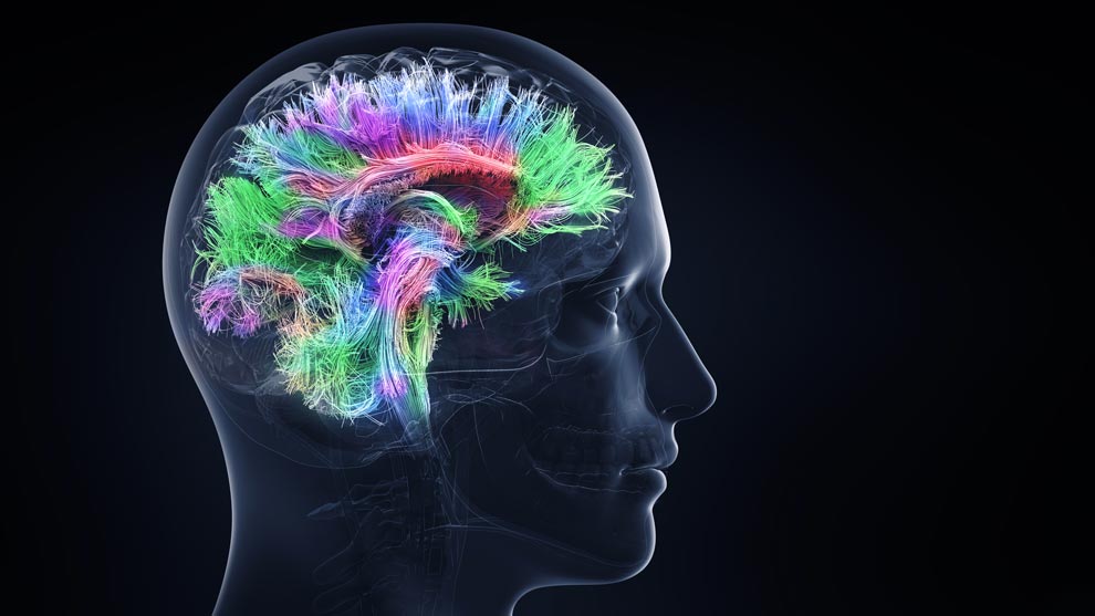 Mantener viva la llama: estimulación cognitiva y de la memoria.