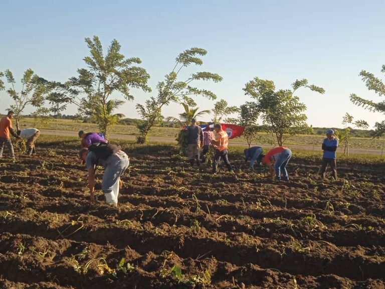 El compromiso vuelve a convocar a los pinareños en jornada de trabajo voluntario