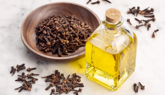 Remedios naturales contra las arbovirosis.