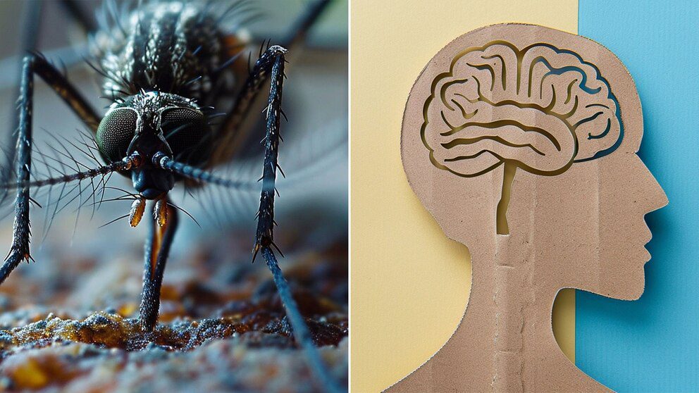 Chikungunya y salud mental: claves psicológicas para manejar la crisis.