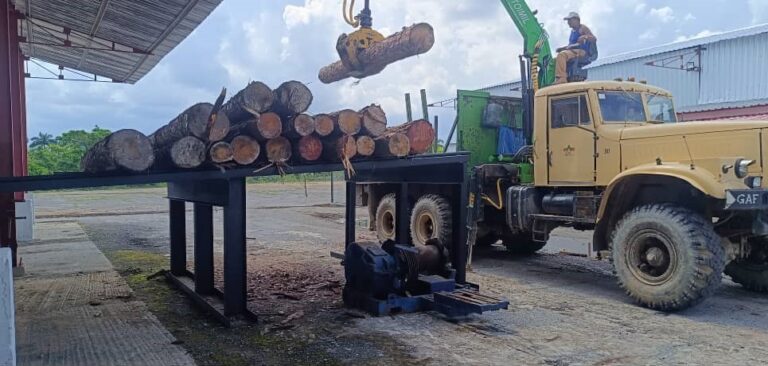 Agroforestales pinareños: crecimiento productivo con impacto social