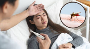 Remedios naturales contra las arbovirosis.