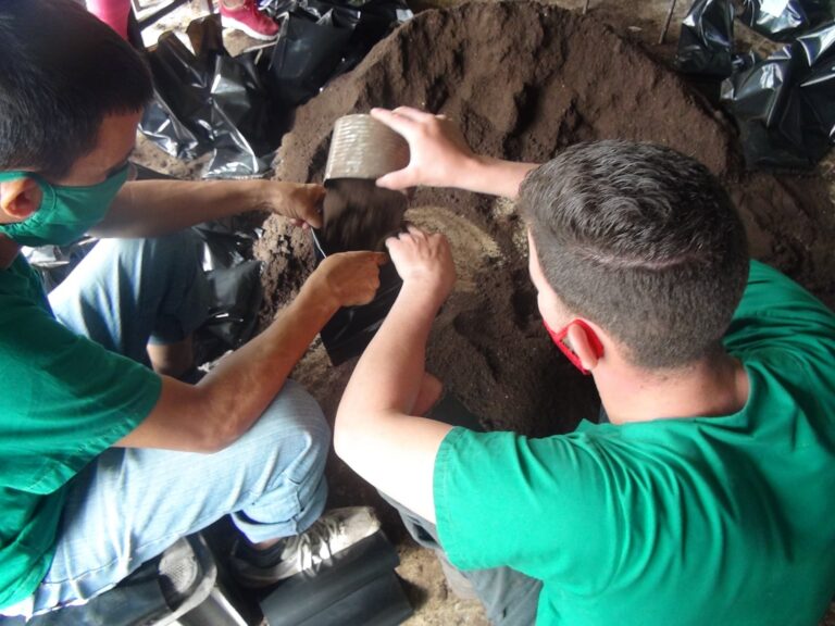 Suelo vivo, futuro fértil