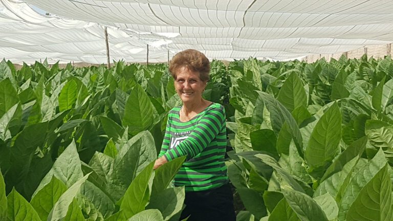 Juana: una tabacalera sin miedo a los retos