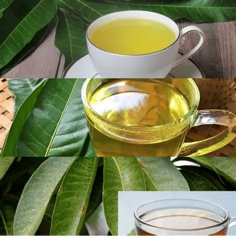 Mango y guanábana en la medicina natural.