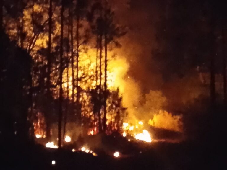 Combaten incendio forestal de muy grandes proporciones en zona montañosa de Pinar del Río (+Audio)