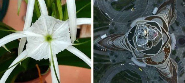 Burj Khalifa: la inspiración detrás de su arquitectura.