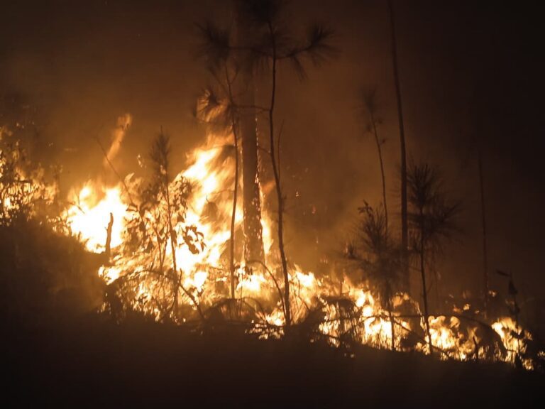 Incendio forestal de muy grandes proporciones en Pinar del Río: vientos y material combustible limitan la contención (+Audio)