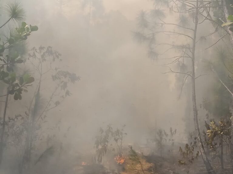 Ascienden a 1700 las hectáreas afectadas por incendio en La Lanza (+Infografía)