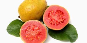 La deliciosa Guayaba, un tesoro natural.