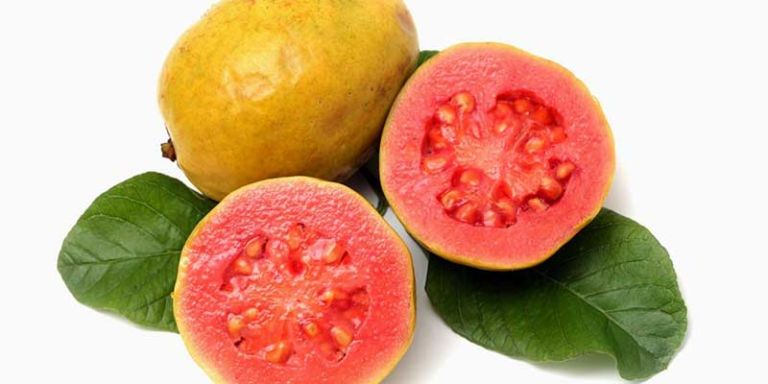 La deliciosa Guayaba, un tesoro natural.