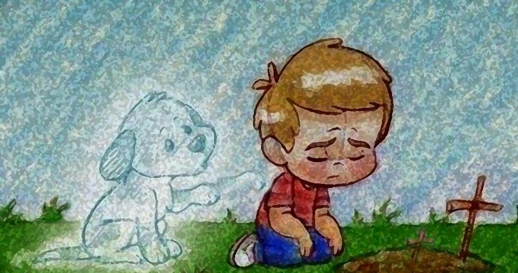 
¿Cómo atravesar el duelo por la pérdida de tu mascota?