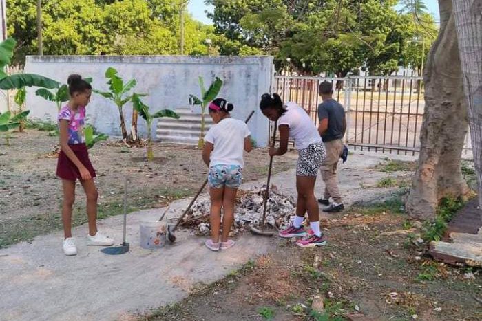 Fuerzas de Acción Pioneril