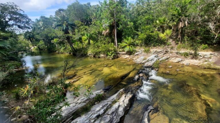Problemas ambientales en Pinar del Río y cómo actuar desde casa