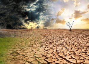 ¿Qué es la ecoansiedad?